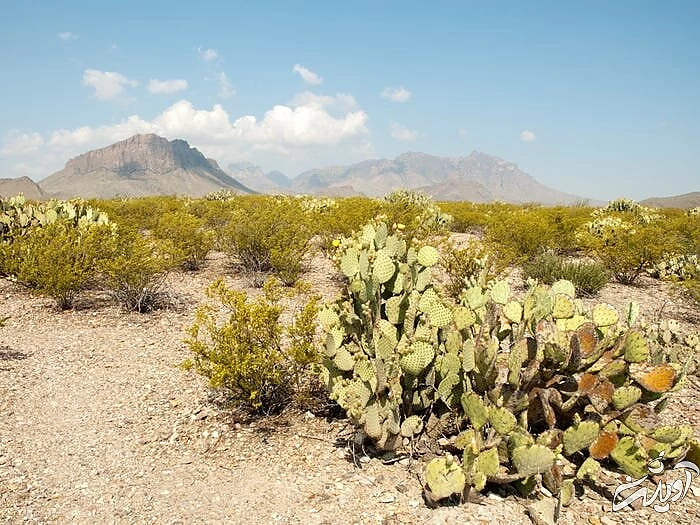 ۱۰ کویر بکر در جهان؛ روی دیگری از جذابیت طبیعت ۱۰ کویر بکر در جهان؛ روی دیگری از جذابیت طبیعت